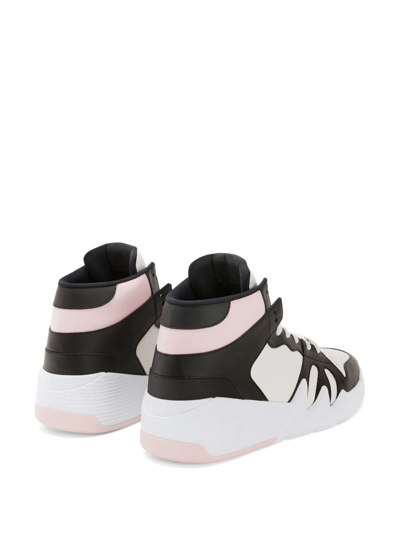 Shop Giuseppe Zanotti Colour-block Panelled Sneakers In Pink