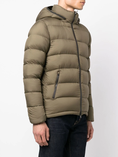 Shop Herno Quilted Zip-up Hooded Jacket In 绿色