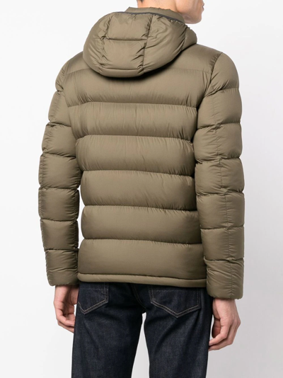 Shop Herno Quilted Zip-up Hooded Jacket In 绿色