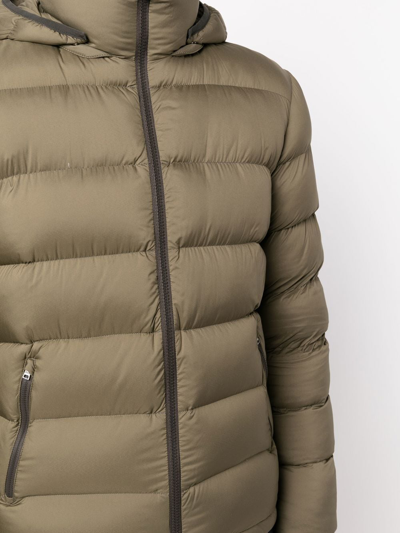 Shop Herno Quilted Zip-up Hooded Jacket In 绿色