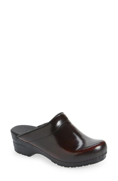 Shop Sanita Sonja Cabrio Clog In Bordeaux