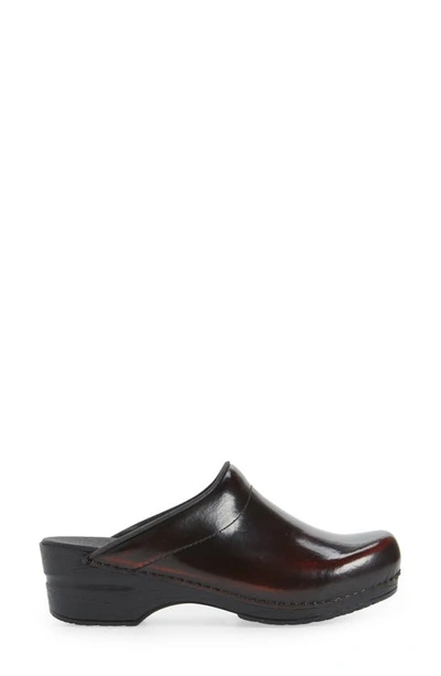 Sanita Sonja Cabrio Clog In Bordeaux