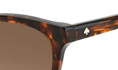 Shop Kate Spade Adeline 55mm Gradient Cat Eye Sunglasses In Havana / Brown Gradient