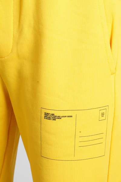 Shop Helmut Lang Pants In Yellow Cotton