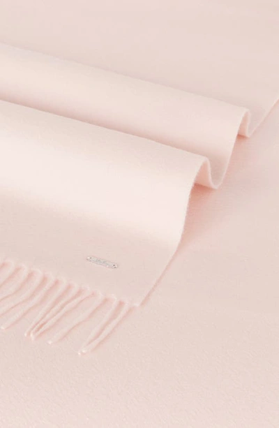 Shop Loro Piana Grande Unita Cashmere Scarf In Light Pink