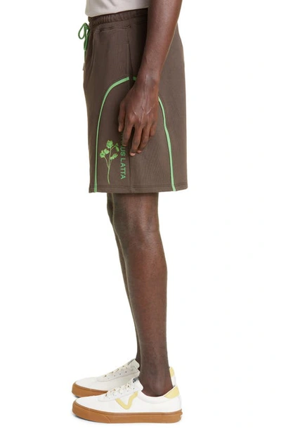 Shop Eckhaus Latta Embroidered Cotton Sweat Shorts In Garnish