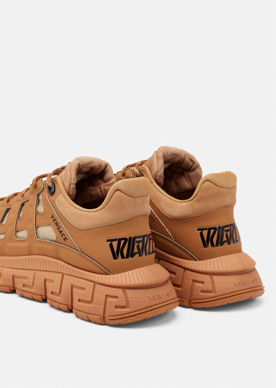 Shop Versace Trigreca Sneakers, Male, Beige, 40