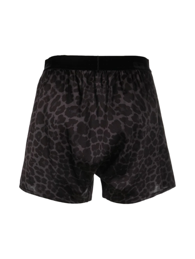 Shop Tom Ford Leopard-print Silk Boxers In Black