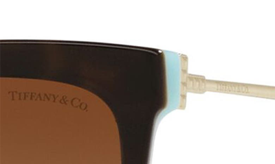 Shop Tiffany & Co 55mm Gradient Cat Eye Sunglasses In Havana Blue
