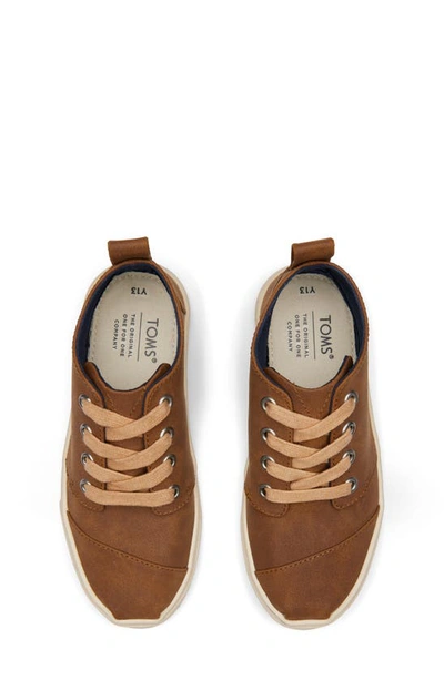 Shop Toms Botas Cupsole Oxford In Brown