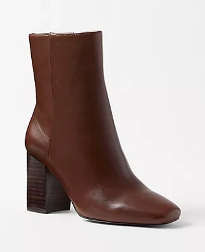 Shop Ann Taylor North Leather Booties In Pecan Brown