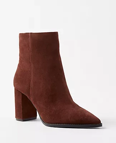 Shop Ann Taylor Pointy Toe Suede Booties In Pure Chocolate