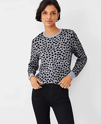 Shop Ann Taylor Leopard Jacquard Crew Neck Sweater In Empire Grey