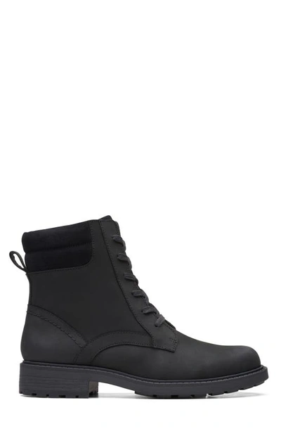 clarks orinoco bend