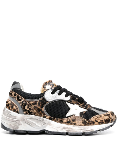 Golden Goose Brown Running Sole Leopard Pattern Sneakers In Multi | ModeSens