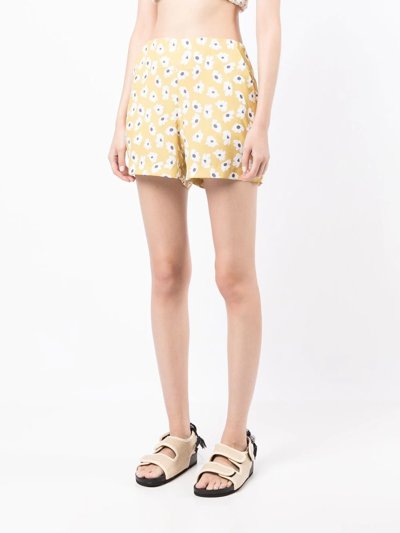 Bambah Daisy-print Shorts In Yellow