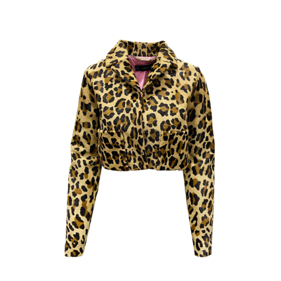 Dsquared2 Leopard Calf Hair Cropped Jacket In Brown