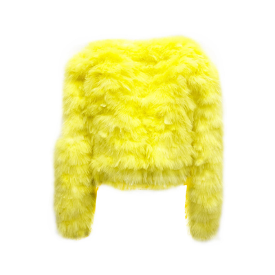 Dsquared2 Feathers Bomber Jacket Women In Yellow