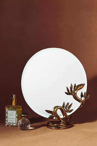 Shop Anthropologie Serpentine Vanity Mirror In Brown