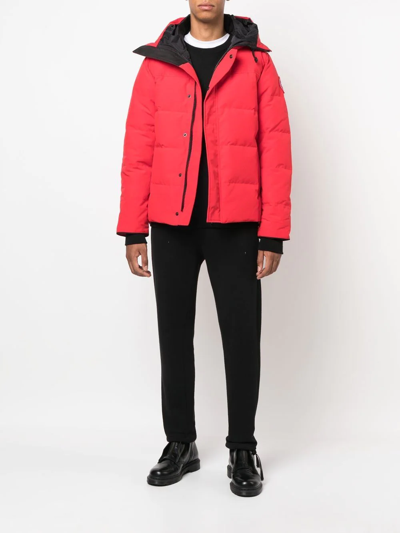 Shop Canada Goose Macmillan Padded Jacket In Red