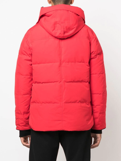 Shop Canada Goose Macmillan Padded Jacket In Red