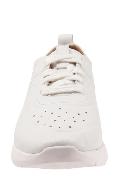 Shop Softwalk Stella Sneaker In White