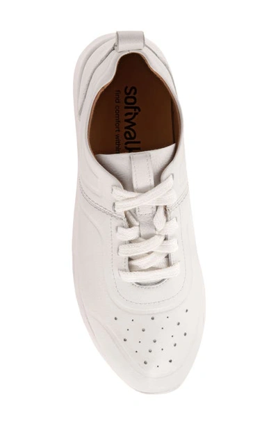 Shop Softwalk ® Stella Sneaker In White
