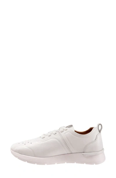 Shop Softwalk Stella Sneaker In White