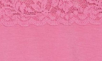 Shop Hanky Panky Cotton French Briefs In Chateau Rose Pink