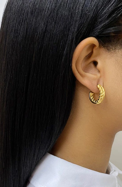 Shop Adornia Water Resistant Cable Double Hoop Earrings In Yellow