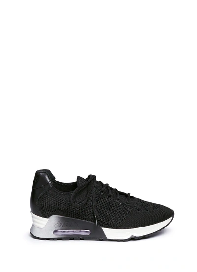 Shop Ash 'lucky' Mix Knit Sneakers