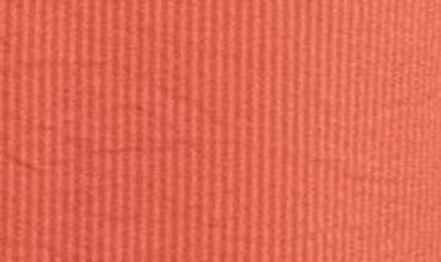 Shop Halogen Textured Tie Waist Shirtdress In Rust Spice