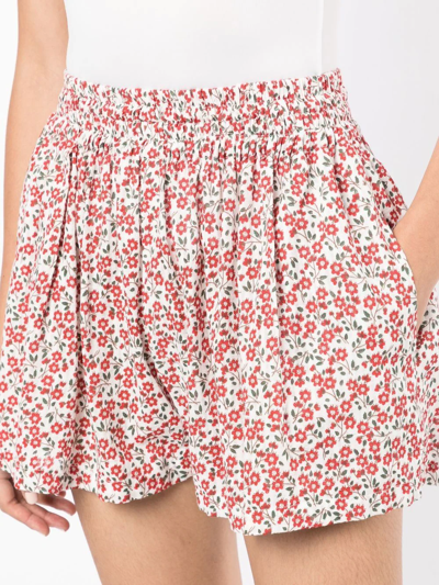 Shop Bambah Floral-print Shorts In Red
