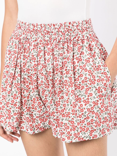 Bambah Floral-print Shorts In Red