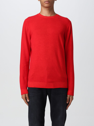 Shop Malo Sweater  Men Color Red