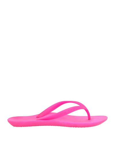 Shop A.testoni A. Testoni Woman Thong Sandal Fuchsia Size 4-5 Rubber In Pink