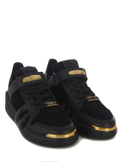 Shop Giuseppe Zanotti Sneakers  In Leather In Nero