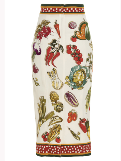 Shop Dolce & Gabbana Capri Skirt In Multicolor