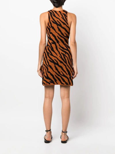 Shop Proenza Schouler White Label Tiger-print Knit Mini Dress In Brown