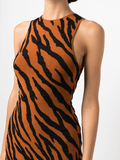 Shop Proenza Schouler White Label Tiger-print Knit Mini Dress In Brown