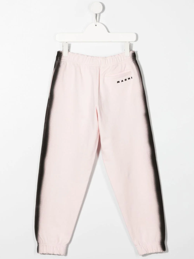 Shop Marni Straight Leg Track Pants In Pink
