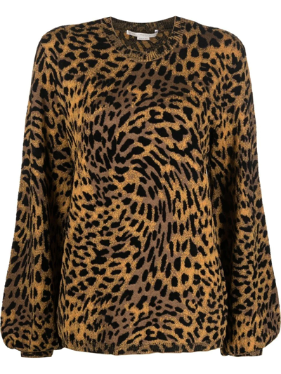 Shop Stella Mccartney Leopard-print Knitted Jumper In Black