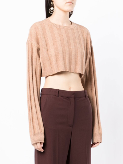 Shop Cashmere In Love Remy Cropped Jumper In Brown