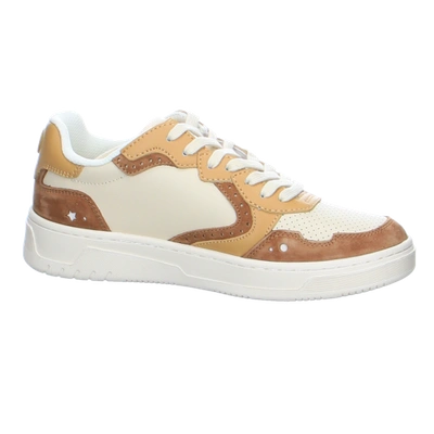 Pre-owned Scotch & Soda Damen Sneaker Elli Sneaker 24731609/s265 Beige 1271964