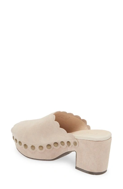 Shop Chocolat Blu Genessis Platform Clog In Cloud Suede