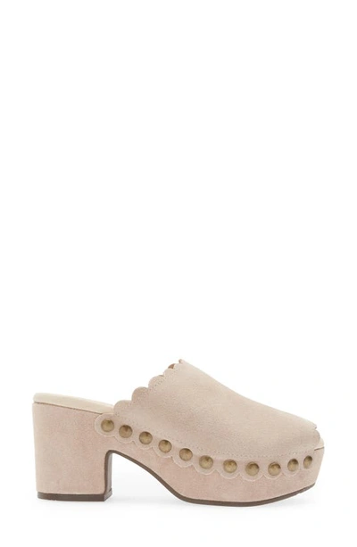 Shop Chocolat Blu Genessis Platform Clog In Cloud Suede