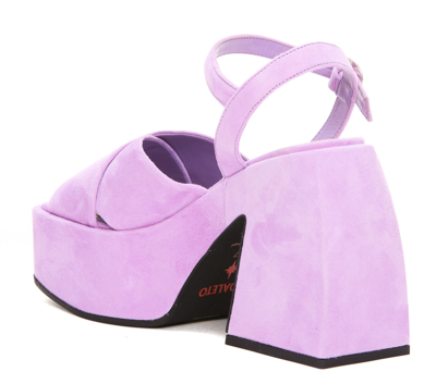 Shop Nodaleto Bulla Joni Pump Sandals In Lilac