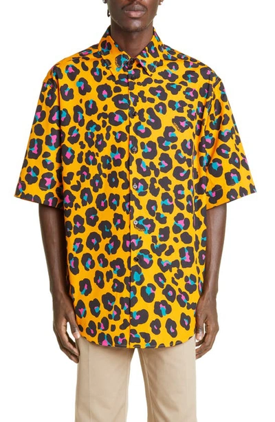 Shop Versace Leopard Print Short Sleeve Cotton Button-up Shirt In 5o010 Tangerine Multicolor
