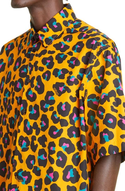 Shop Versace Leopard Print Short Sleeve Cotton Button-up Shirt In 5o010 Tangerine Multicolor