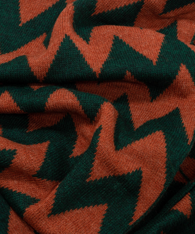 Shop Lardini Wool Wool Scarf In Brown - Green